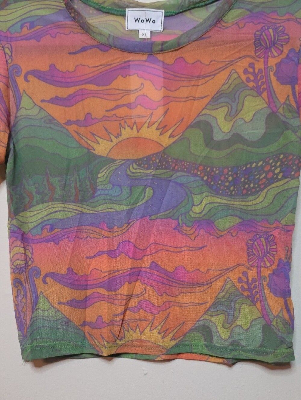 WoWo Sheer Mesh Multicolor Crop Top - Vibrant Print - Picture 3 of 5